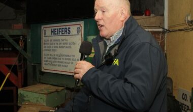 Farm organisations urge ‘maximum vigilance’ in response to first bluetongue case