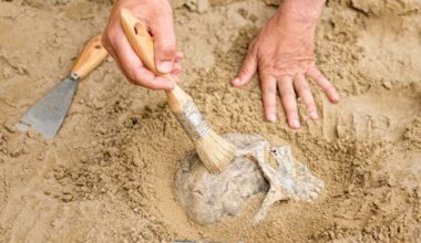 Did Humans Nearly Go Extinct 900,000 Years Ago? A Biologist Explains