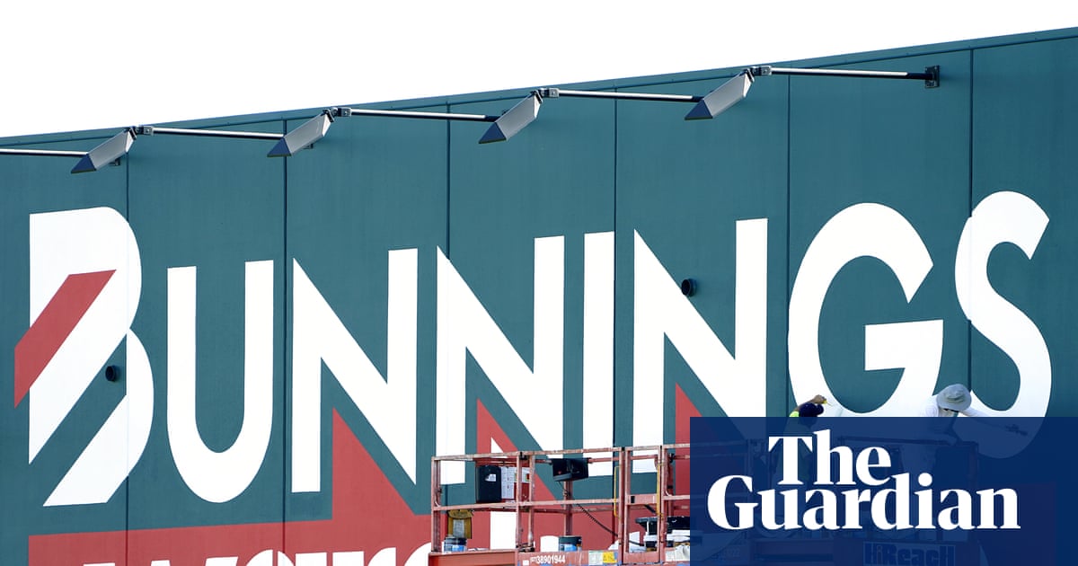 Bunnings accused of ‘greenwashing’ timber amid concerns about supplier’s illegal logging | New South Wales