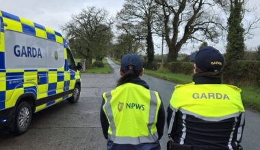 Targeted garda operation clamps down on illegal hunting and trespassing in Kildare
