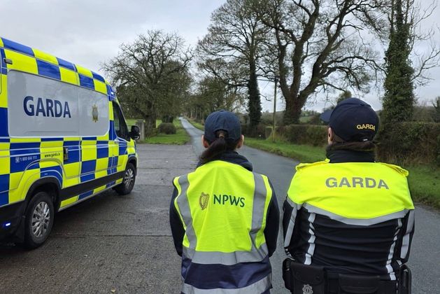 Targeted garda operation clamps down on illegal hunting and trespassing in Kildare
