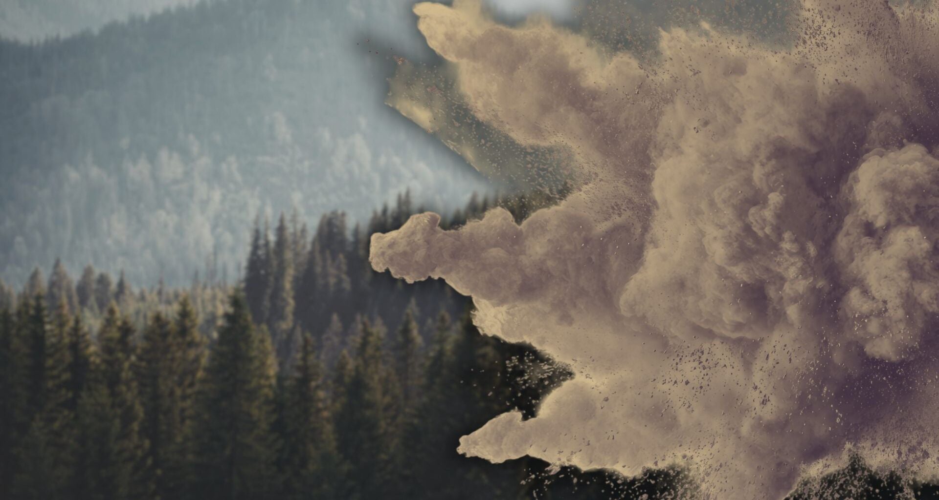 Exploding Trees Are Nothing New to Indigenous Groups