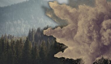 Exploding Trees Are Nothing New to Indigenous Groups