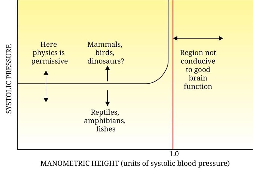 Graph plotting systolic blood pressure as a function of animal height.
