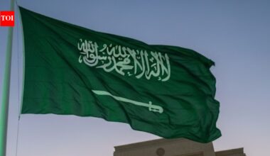 Saudi Arabia greenlights National Privatization Strategy, targeting 18 sectors and 220+ contracts by 2030 | World News