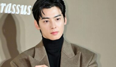 Advertisers pull ads with Cha Eun-woo after Kim Soo-hyun switch