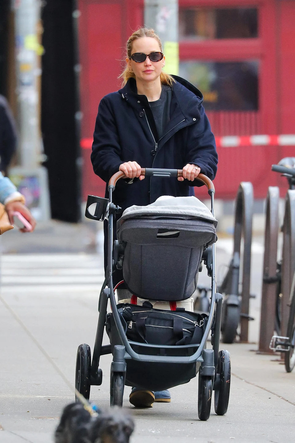  <span class="wp-caption-text">ZapatA/MEGA</span>