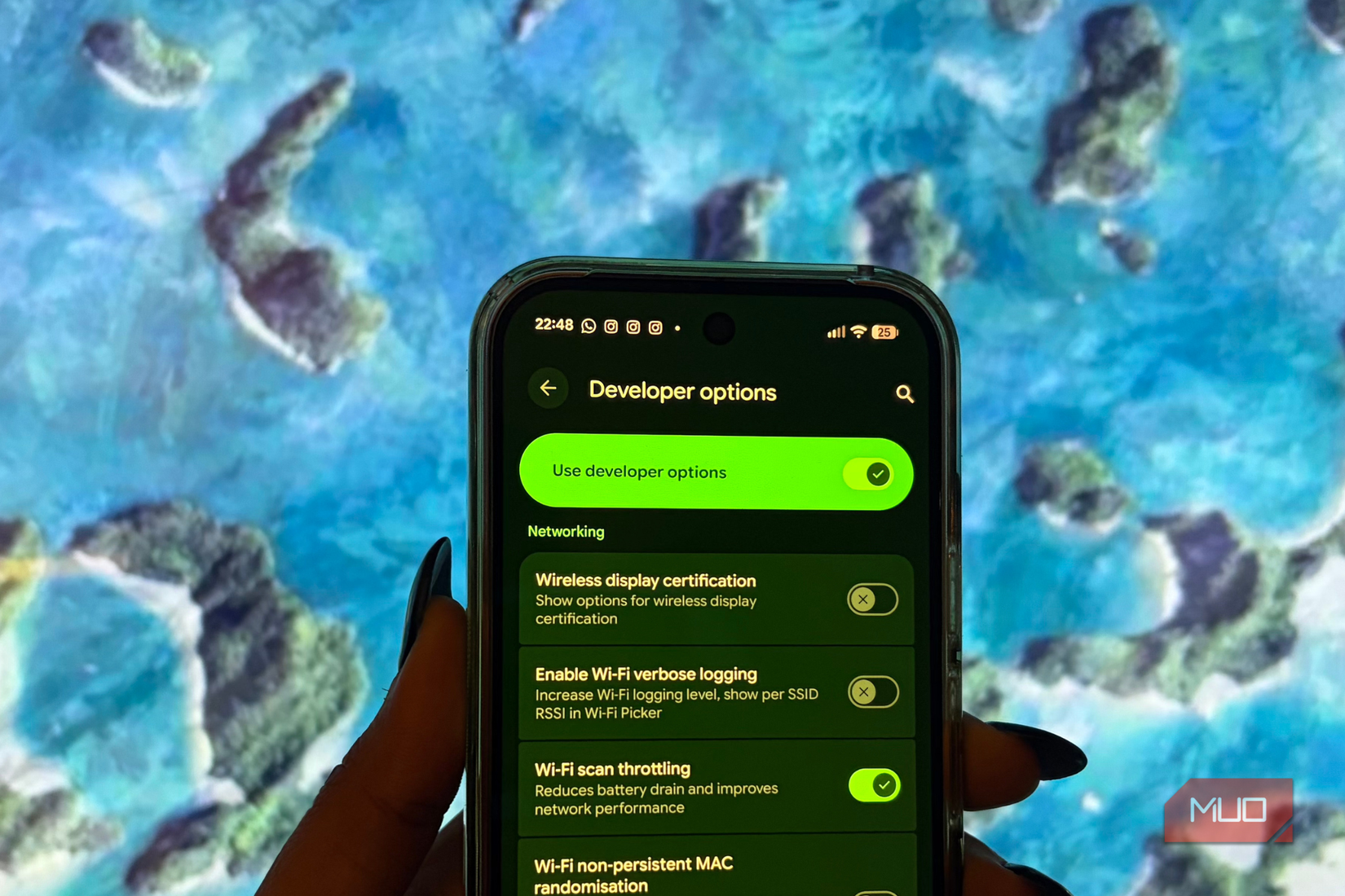 Use Developer Options tab opened on the Google Pixel 10 Pro