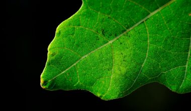 Low-Cost Carbon Capture with Just Water and Pressure