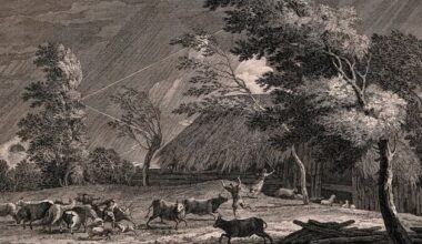 The Night of the Big Wind – Ireland’s worst natural disaster that claimed 300 souls