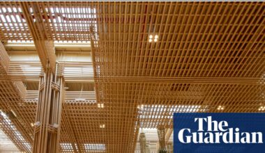 Schools, airports, high-rise towers: architects urged to get ‘bamboo-ready’ | Green building