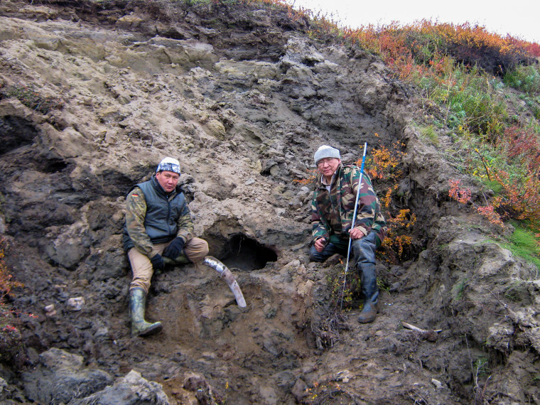 The permafrost section where the Tumat wolf puppy was found