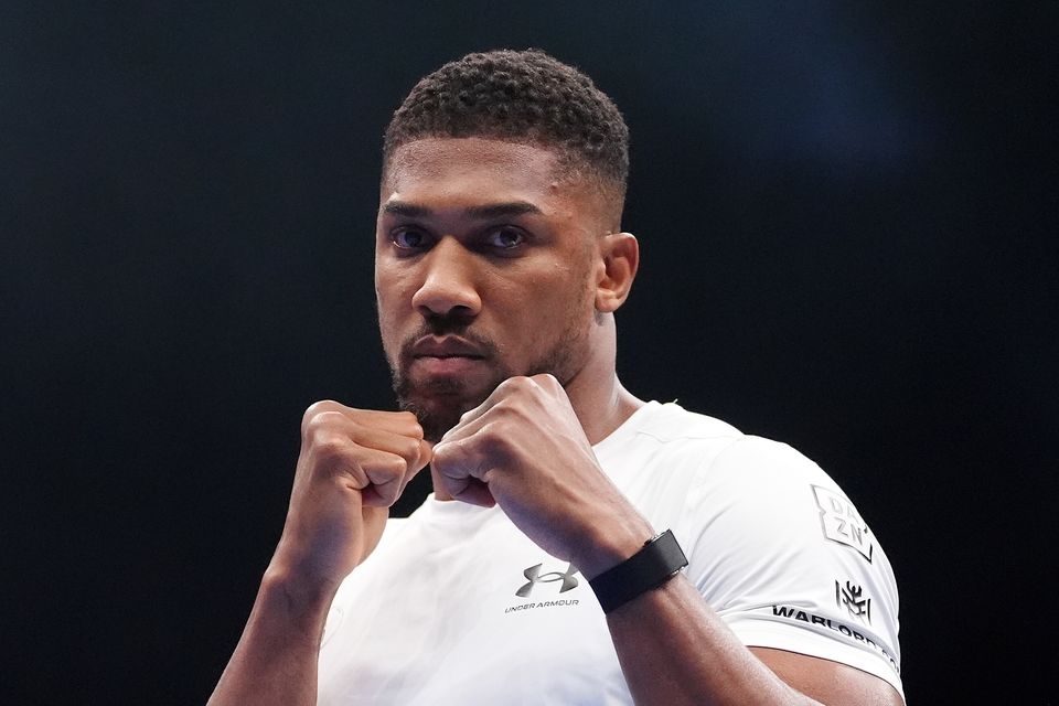 British boxer Anthony Joshua has been released from hospital in Nigeria (PA)