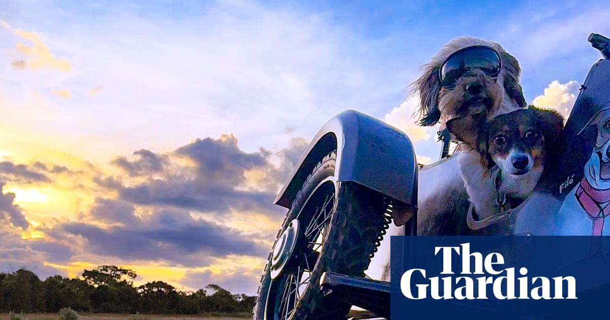 ‘I always knew my dogs loved the wind on their faces’: Thiago Bernardes de Souza’s best phone picture | Photography
