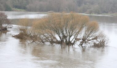 Parts of Wexford and Kilkenny flooded as rainfall lightens and warnings pass – The Irish Times