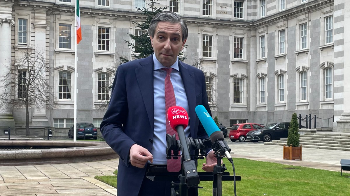 Economic frailties laid bare to Simon Harris