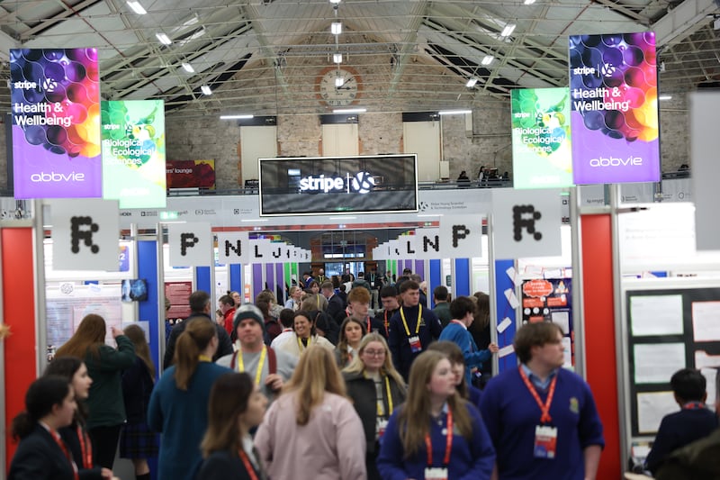 Participants and visitors explore the exhibition at the RDS. Photograph: Enda O'Dowd