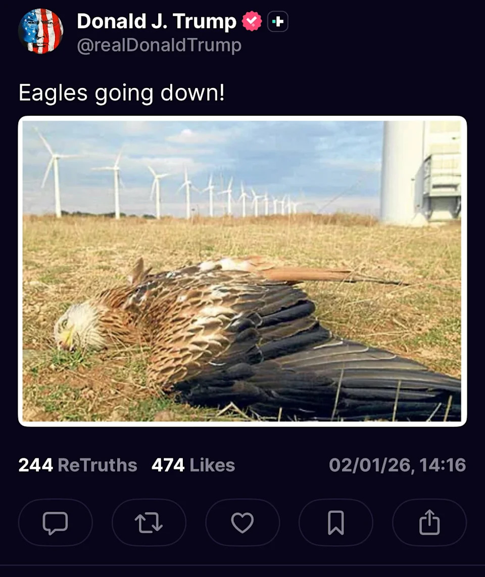 Donald Trump returned to a favorite topic after he gave an interview about his poor health—wind turbines killing eagles. / Truth Social
