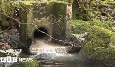 Water works 'significant source' of River Kent pollution