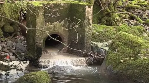 CRKC A waste treatment pipe that has water rushing out of it. There is a lot of moss growing on the rocks and cement surrounding it. 