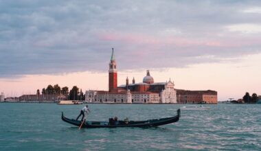 Venice’s lagoons invaded by colony of cannibal jellyfish