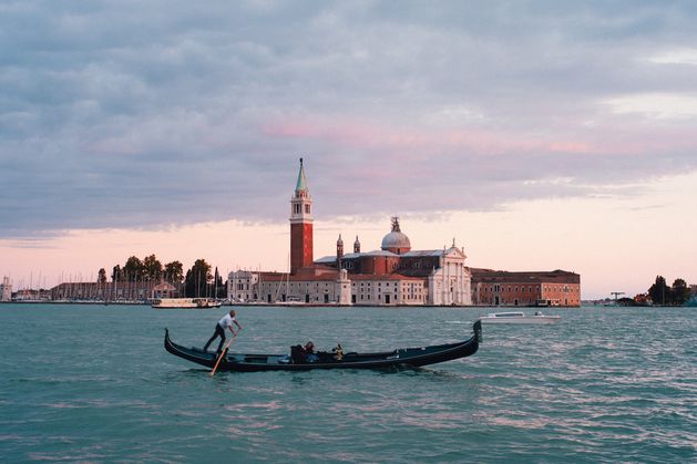 Venice’s lagoons invaded by colony of cannibal jellyfish