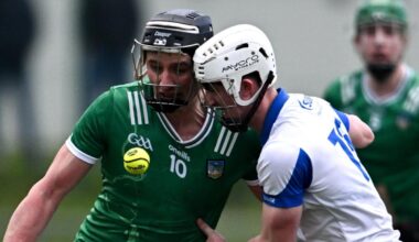 Strong second half showing propels Limerick past Waterford in Munster Hurling League final
