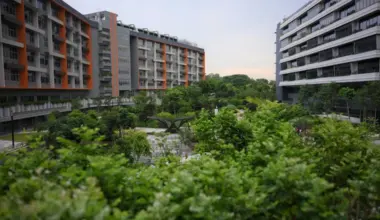 Subscribe Placeholder