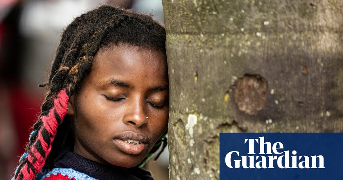 EU legislation intended to fight deforestation has been effectively ‘dismantled’ | Deforestation