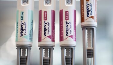 People on fat loss jabs ‘put weight back on faster than traditional dieters’ – The Irish News