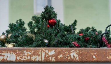 Yahoo lifestyle home