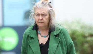 Dentist pleads guilty to 14 animal welfare offences at Wicklow property