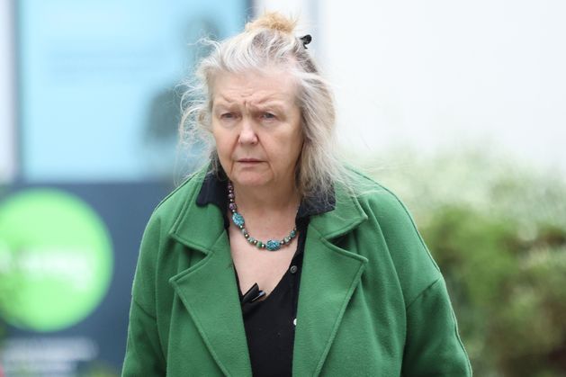 Dentist pleads guilty to 14 animal welfare offences at Wicklow property