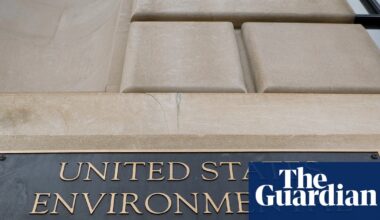 Health groups sue EPA over insecticide that causes testicular damage in rats | US Environmental Protection Agency