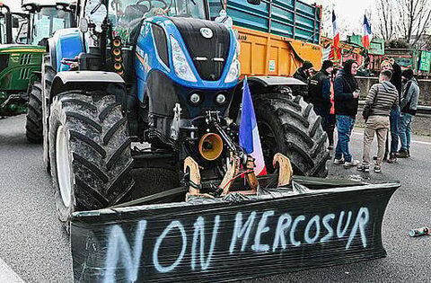 Mercosur threatens the fabric of rural Ireland, says youth organisation - National News