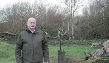 Laois man's wildlife photography business ‘hides’ in plain sight - News