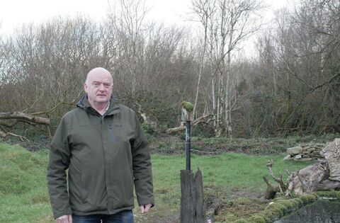 Laois man's wildlife photography business ‘hides’ in plain sight - News