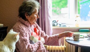 Retirement 'greatest con job ever inflicted on Irish society' - Terry Prone