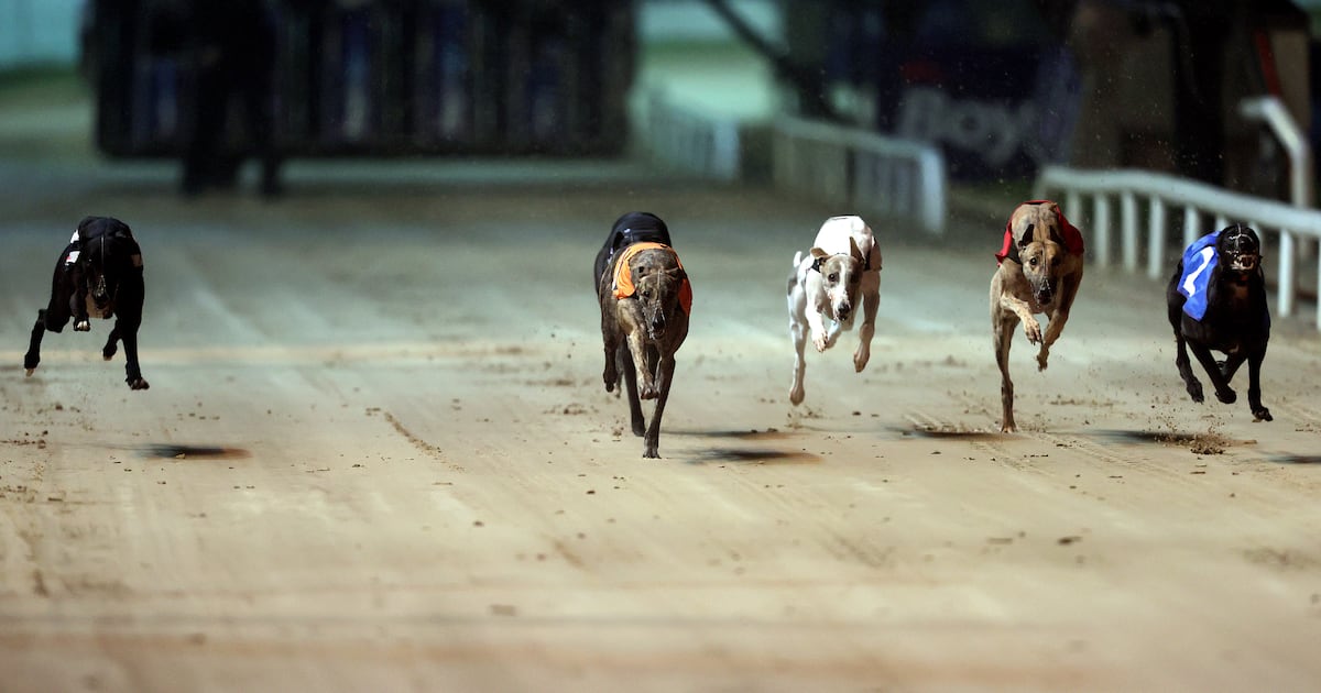 Greyhound Racing Ireland sought State support as welfare and rehoming costs rose – The Irish Times