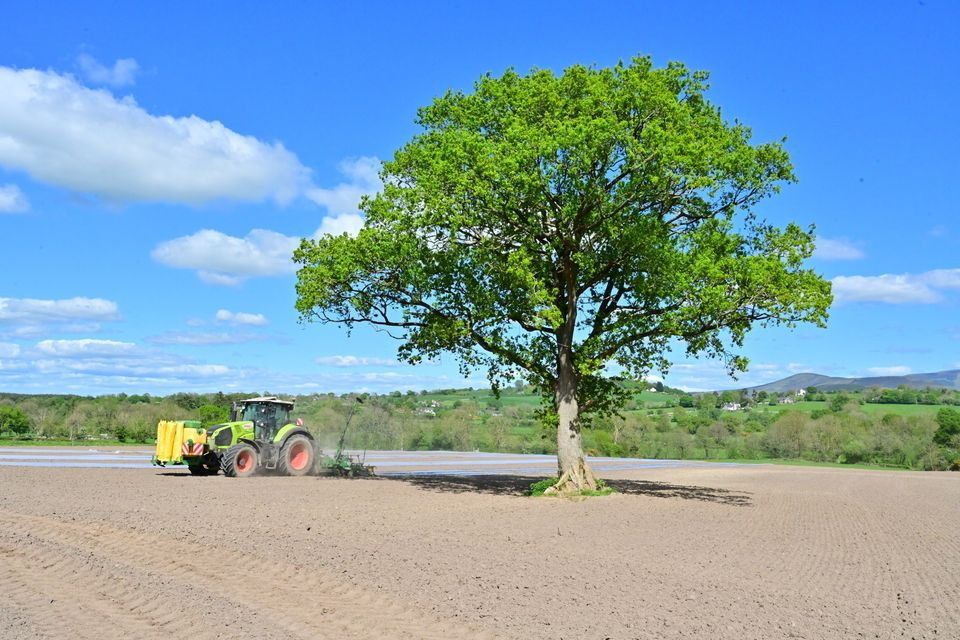 The Agri-business industry had a though 2025, according to the report.
