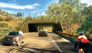 SLOW GOING—A rendering shows what the portion of the Annenberg Bridge will look like as it crosses over Agoura Road in Liberty Canyon. Work is progressing. Courtesy Rock Design Associates and National Wildlife Federation