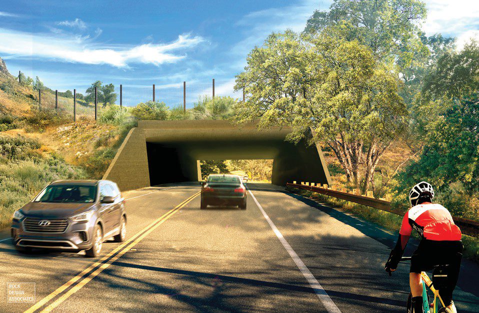 SLOW GOING—A rendering shows what the portion of the Annenberg Bridge will look like as it crosses over Agoura Road in Liberty Canyon. Work is progressing. Courtesy Rock Design Associates and National Wildlife Federation