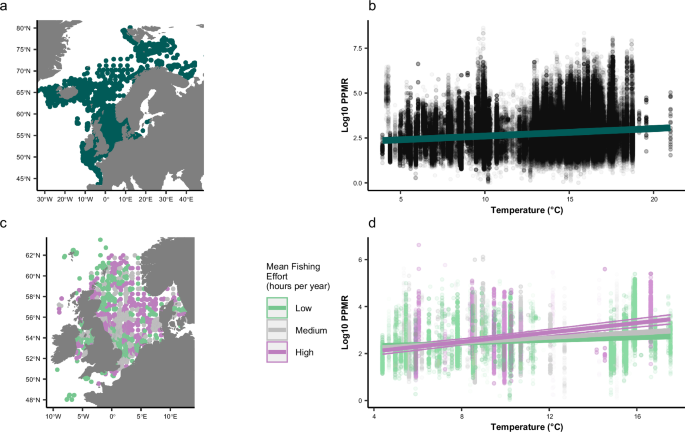 Commercial fishing amplifies impacts of increasing temperature on predator-prey interactions in marine ecosystems