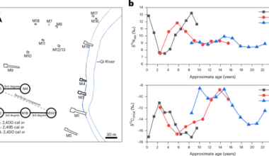 Ancient DNA and isotope data reflect social diversity in an Eastern Zhou cemetery