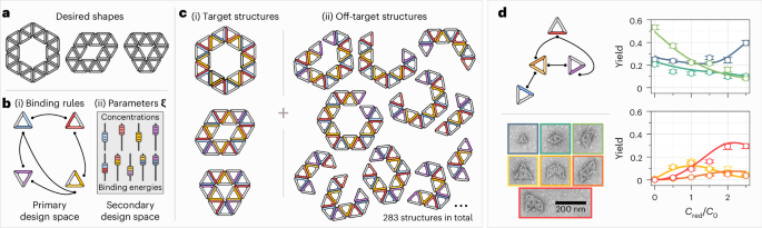A polyhedral structure controls programmable self-assembly