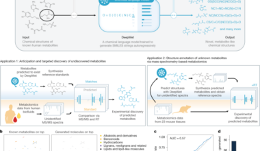 Language model-guided anticipation and discovery of mammalian metabolites