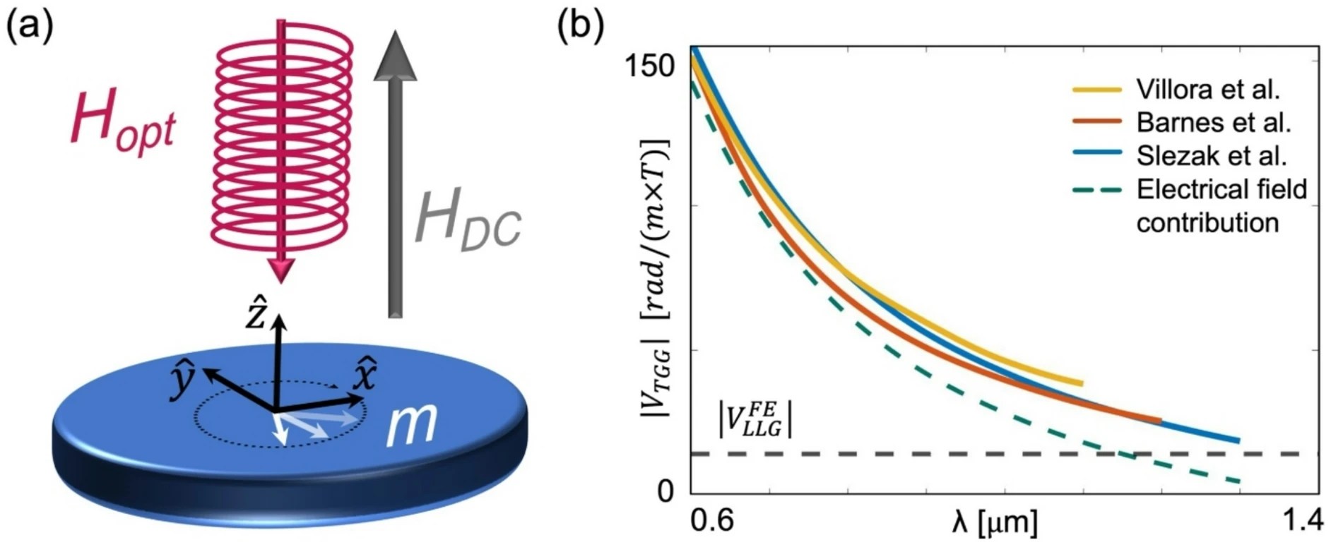 Faraday Effects Emerging From The Optical Magnetic Field