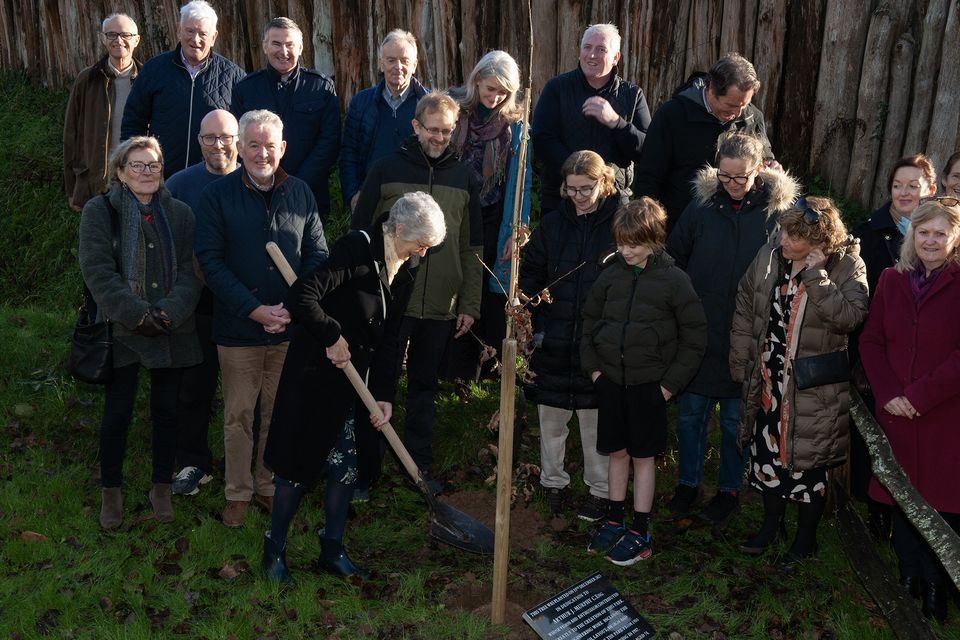 Mairead Murphy planting the tree at the tree planting memorial for the late Arthur J. Murphy ceremony at the Ringfort entrance in the Irish National Heritage Park on Friday. Pic: Jim Campbell