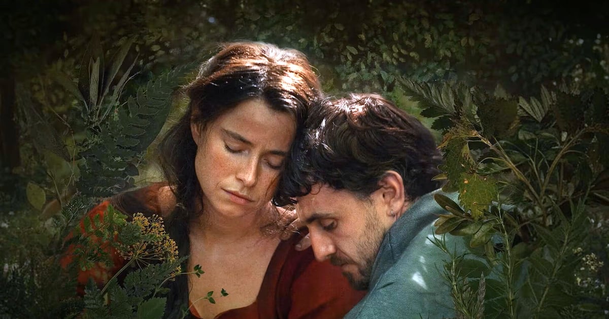 what’s the success down to? – The Irish Times