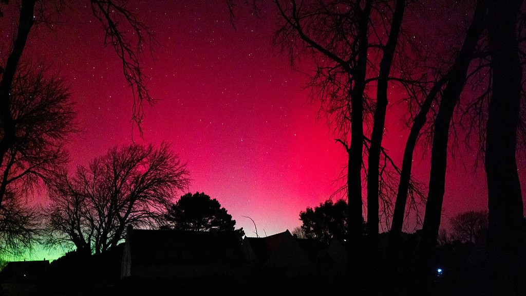 the entire sky is red with aurora and on the horizon is a hint of green, in the foreground are trees silhouetted against the eerie sky.